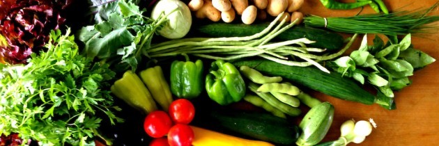 Gemüse-Abo – die individuelle Kiste mit Lebensmitteln von unserem Hof