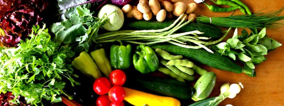 Gemüse-Abo – die individuelle Kiste mit Lebensmitteln von unserem Hof