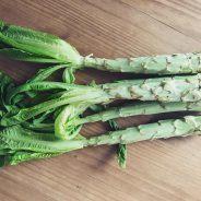 Salatspargel – die feine Unbekannte