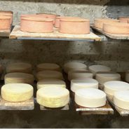 Heimehuser – unser erster Käse