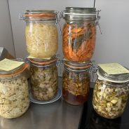 Willkommen in der Welt des Fermentierens