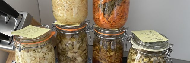 Willkommen in der Welt des Fermentierens